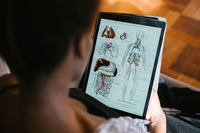 Ilustrasi urutan organ yang dilewati makanan pada sistem pencernaan manusia dengan tepat. Sumber: www.pexels.com