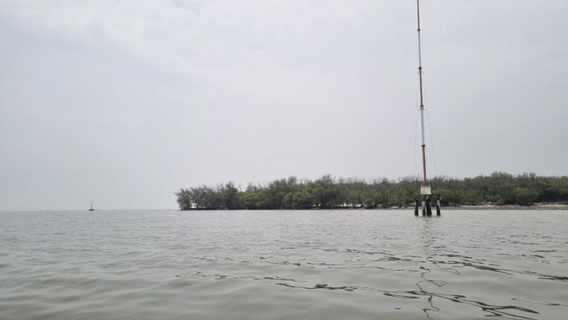 Lokasi HGB di perairan Desa Segoro Tambak, Kecamatan Sedati, Kabupaten Sidoarjo, Rabu (22/1/2025). Foto: Farusma Okta Verdian/kumparan