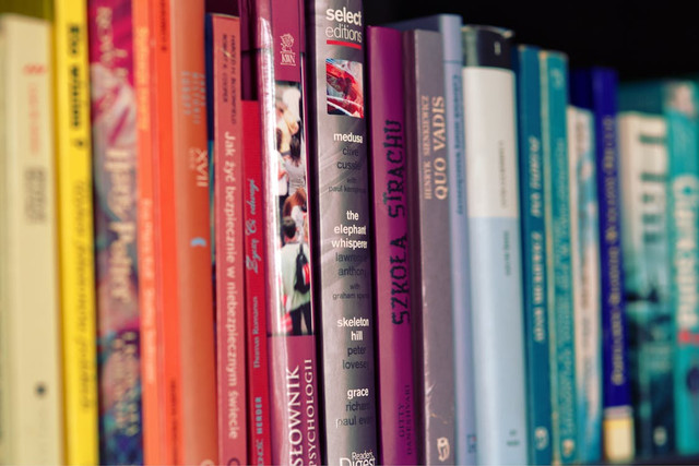 Ilustrasi Urutan Novel Agatha Christie Dari Awal hingga Karya Terakhirnya, Foto: Pexels/Karolina Grabowska