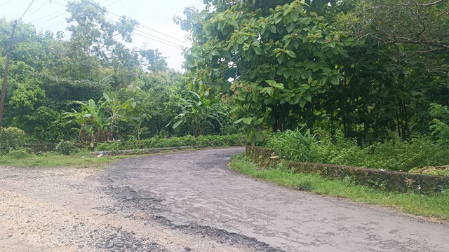 Suasana lokasi perampokan WN Ukraina Igor Iermakov di sekitar Jalan Tundun Penyu Dipal, Kabupaten Badung, Bali. Foto: Denita BR Matondang/kumparan