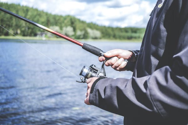 Ilustrasi kail pancing yang bagus untuk ikan mas. Foto: Pexels.com/Lum3n