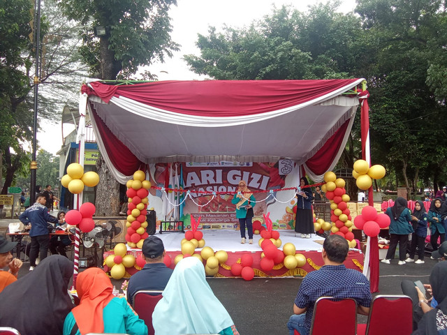 Hari Gizi Nasional yang ke-65/Anyelir.
