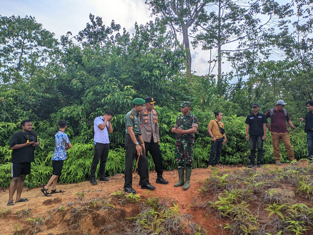 Harimau Sumatera yang masuk kandang jebak di Pekon Rawas, Pesisir Tengah, Kabupaten Pesisir Barat. | Foto: Dok Humas Polres Pesisir Barat