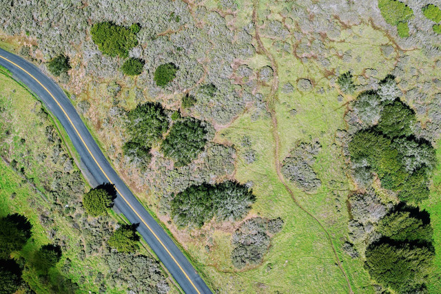 Ilustrasi aspek geografi. Foto: Pexels