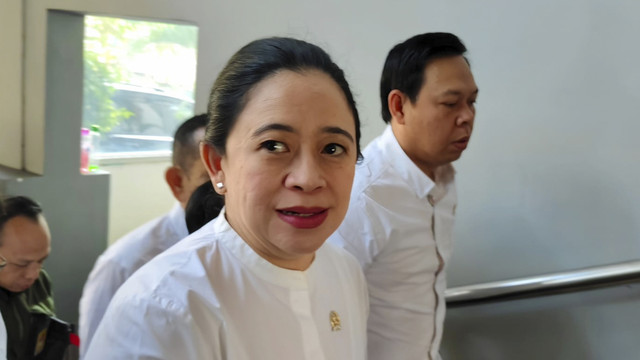 Ketua DPR RI Puan Maharani. Foto: Arfiansyah Panji Purnandaru/kumparan