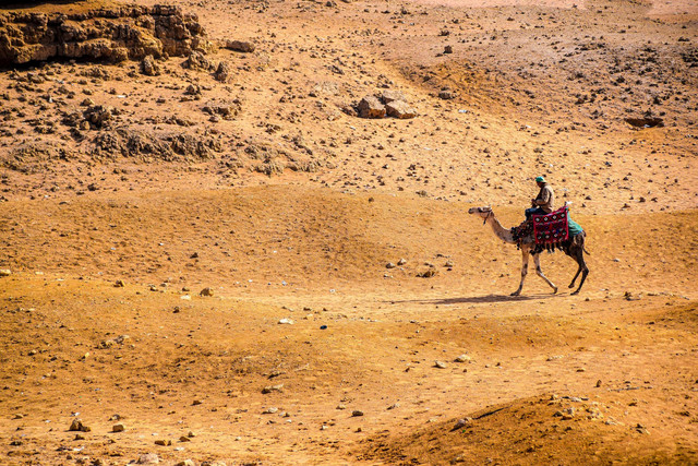 Ilustrasi Kisah mukjizat Nabi Daud. Foto:Unsplash/Tom Podmore