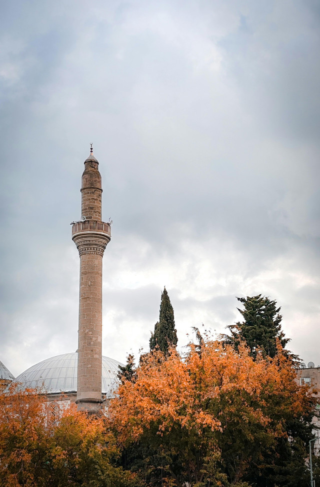 Pexels.com (Photo by Yasemin Yazıcı)