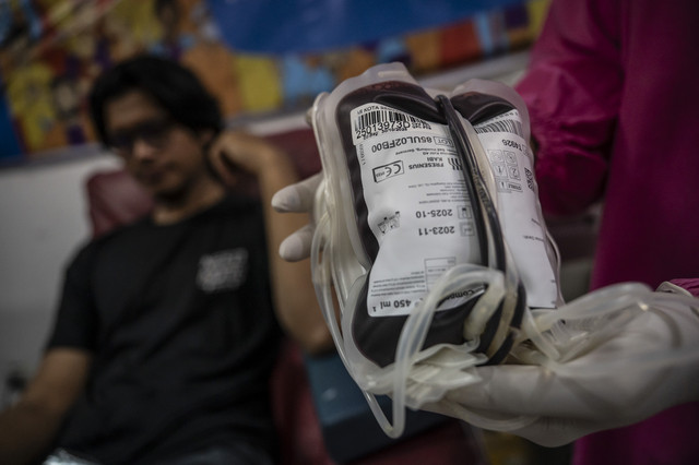 Petugas PMI menunjukkan kantong darah pendonor di Unit Donor Darah (UDD) PMI Kota Semarang, Semarang, Jawa Tengah, Senin (10/3/2025). Foto: Aprillio Akbar/ANTARA FOTO