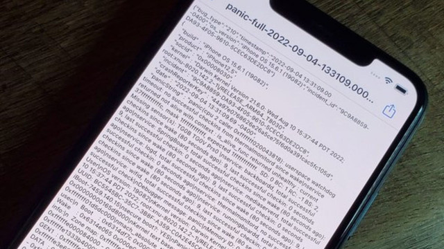 diagnosa iPhone Panic Full