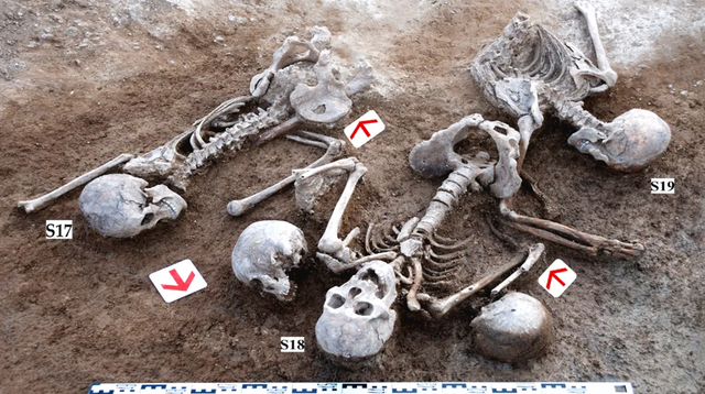 Beberapa kerangka prajurit Han ditemukan dari kuburan massal di Mongolia. Foto: Journal of Archaeological Science/Ma et al.