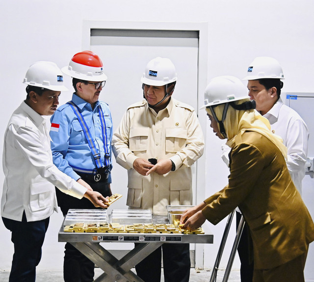 Presiden Prabowo Subianto meninjau langsung area smelter PT Freeport Indonesia (PTFI) di Kabupaten Gresik, Provinsi Jawa Timur, pada Senin (17/3/2025). Foto: Dok. Laily Rachev - Biro Pers Sekretariat Presiden