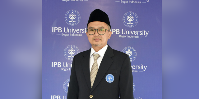 Benarkah Domba Boleh Memakan Makanan Manusia Berikut Penjelasan Dosen IPB University