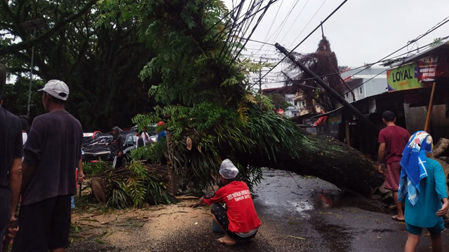 Pohon tumbang yang menutupi sebagian jalan di Malalayang, Kota Manado, Rabu (19/3).