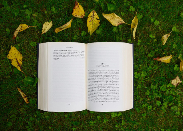 Ilustrasi Pantun Nasehat. Unsplash/Annelies Geneyn