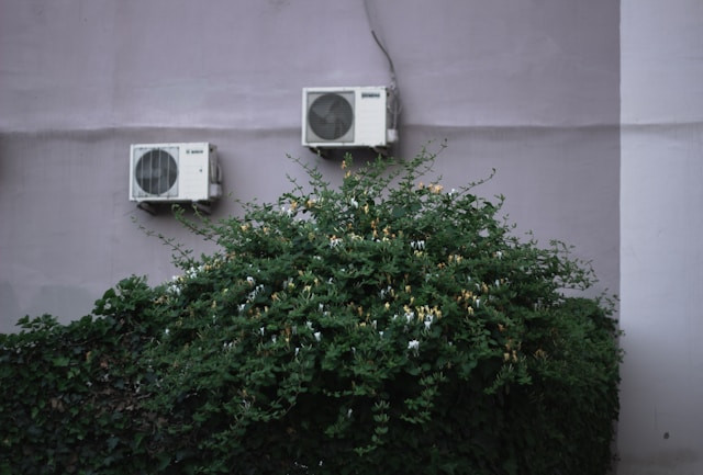 Rekomendasi Air Purifier. Foto hanya ilustrasi. Sumber foto: Unsplash/Leman