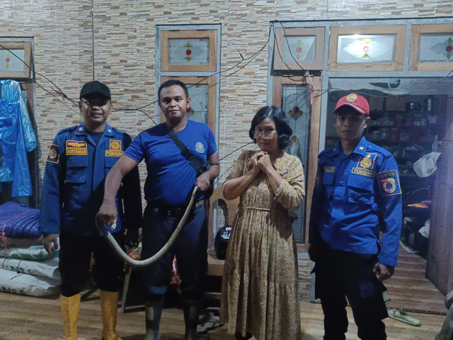 Damkar Jember saat mengamankan ular King Kobra. Dok: Ist.