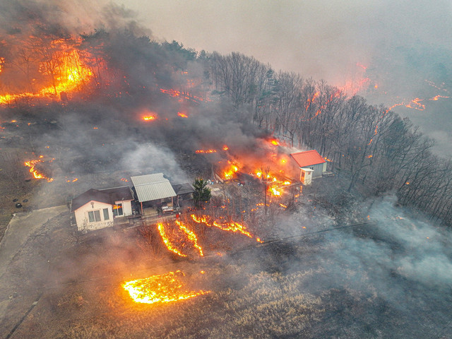 Sebuah rumah dikelilingi kebakaran hutan yang menghancurkan wilayah tersebut, di Uiseong, Korea Selatan, 24 Maret 2025. Foto: Yonhap via REUTERS