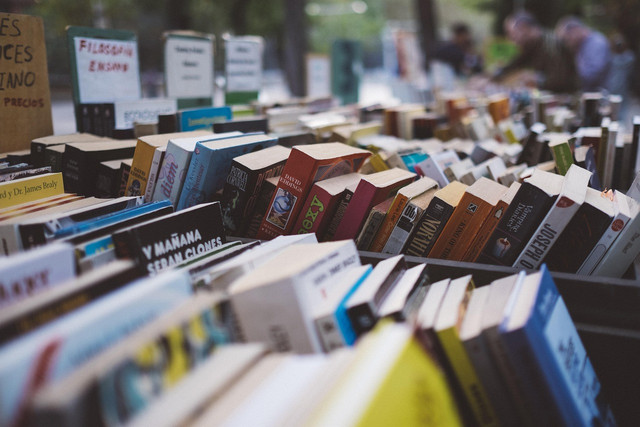 Ilustrasi rekomendasi buku Tan Malaka. Sumber: Pixabay/Pexels