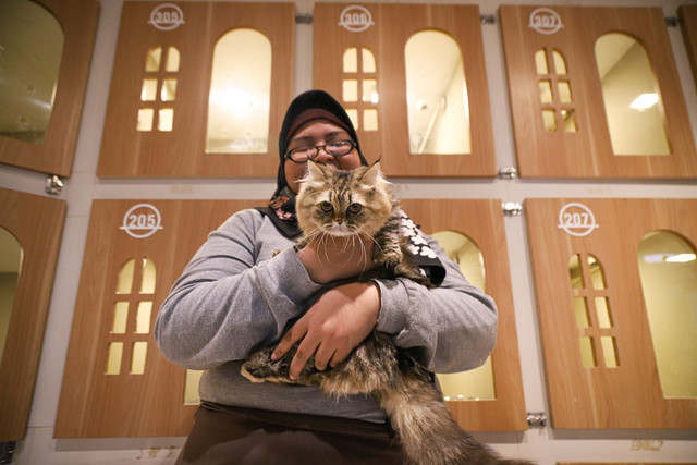 Pekerja merawat kucing yang dititipkan di Arnamir Cat Hotel, Kebayoran Baru, Jakarta, Rabu, (26/3/2025). Foto: Iqbal Firdaus/kumparan