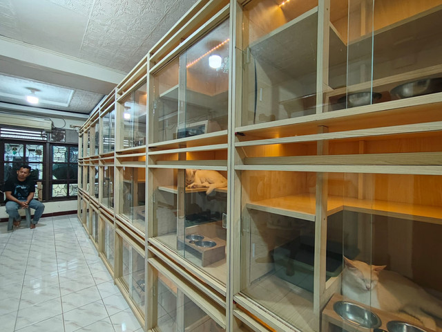 Tempat penitipan hewan di Karawangan ramai saat musim mudik. Foto: Dok kumparan