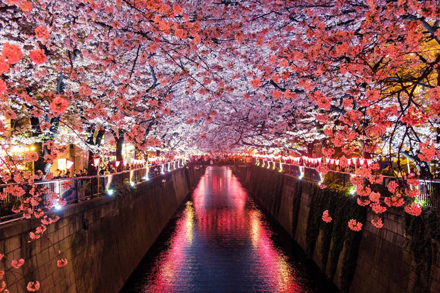 Ilustrasi Rekomendasi Film Jepang Romantis Rating Tertinggi yang Dijamin Bikin Baper, Foto: Unsplash/Sora Sagano