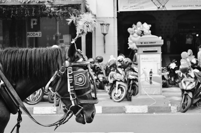 Harga Tiket Benteng Vredeburg. Foto Hanya Ilustrasi, Bukan Sebenarnya. Sumber Foto: Unsplash.com/jauzax