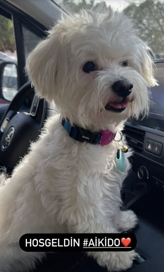 Dokumen Pribadi. Aikido, Istanbul 2023