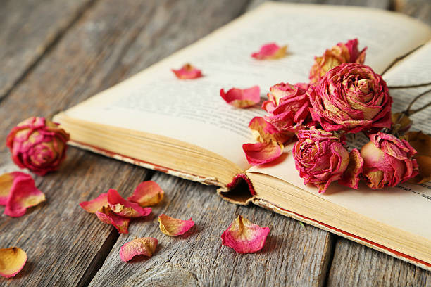 Ilustrasi mawar merah yang telah mengering di atas halaman buku, kelopaknya rapuh seolah menyimpan kenangan yang tertinggal di antara baris-baris kata. (Sumber: https://www.istockphoto.com)