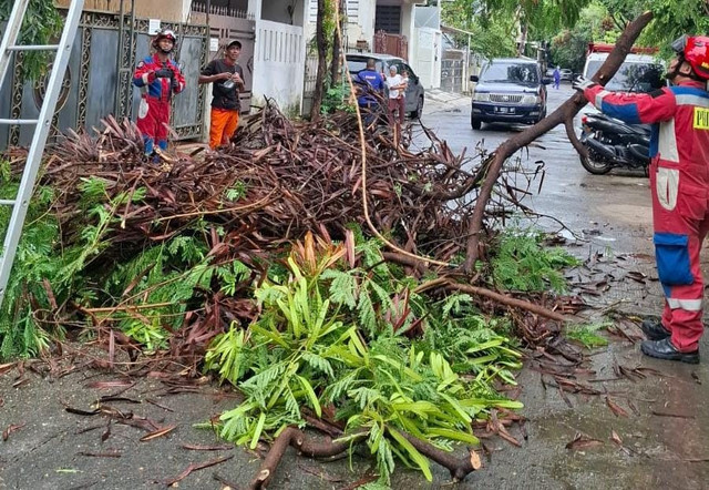 Pohon tumbang di Jakarta Utara. Dok. Sudin Gulkarmat Jakarta Utara