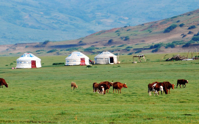 Tiket Masuk Cimory Prigen 2025. Foto hanya ilustrasi, bukan tempat sebenarnya. Sumber: pexels.com/Lovesa Chang