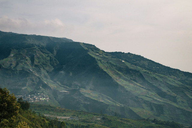 Ilustrasi Rekomendasi Wisata Wonosobo Rating Tertinggi, Sumber Unsplash Alvian Hasby
