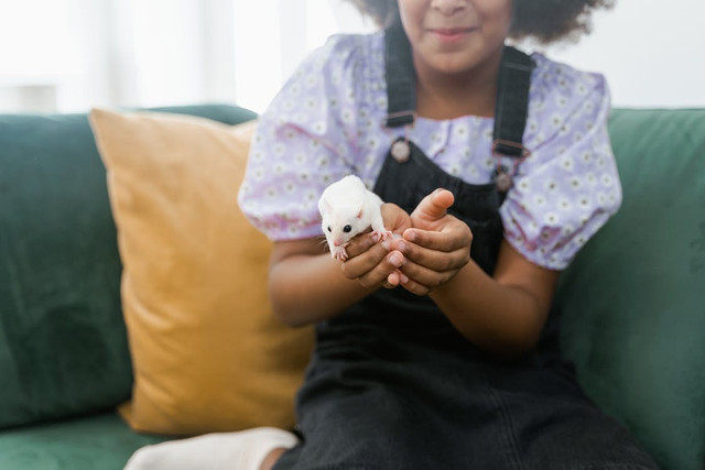 Rekomendasi Nama Sugar Glider. Pexels/MART PRODUCTION