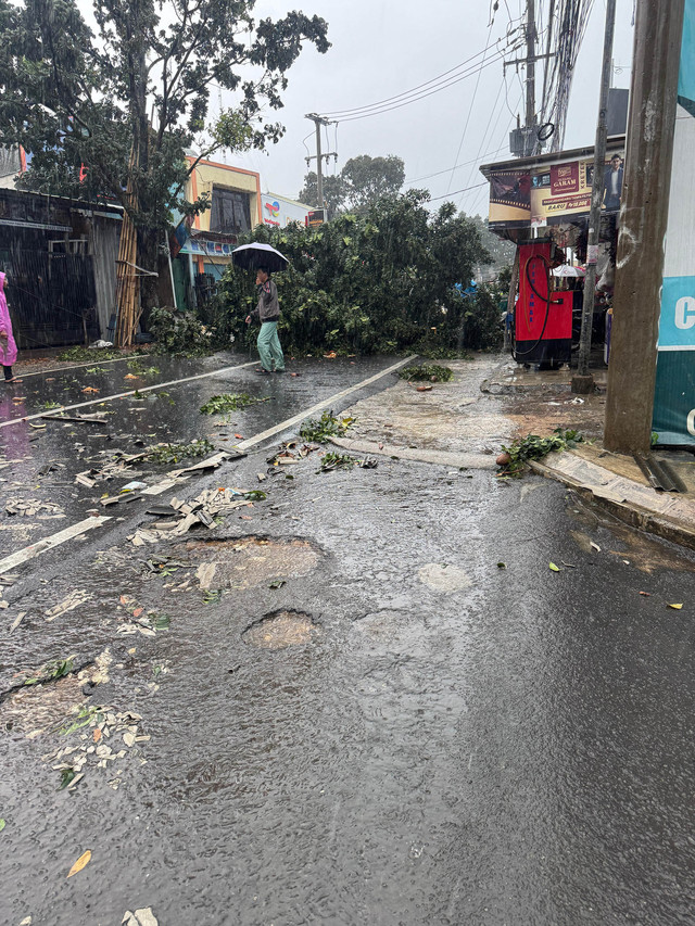 Pohon tumbang di Jalan Raya Pondok Rajeg, Cibinong, Minggu (6/4). Foto: kumparan