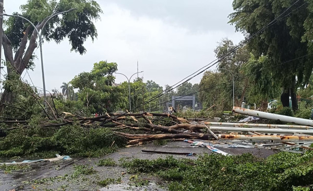 Pohon dan tiang di wilayah kantor Pemkab bogor tumbang akibat hujan deras dan angin kencang, Minggu (6/4/2025). Foto: Dok. Istimewa