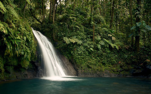 Air Terjun Alam Kandung. Foto hanya ilustrasi, bukan tempat sebenarnya. Sumber: pexels.com/Greg Galas