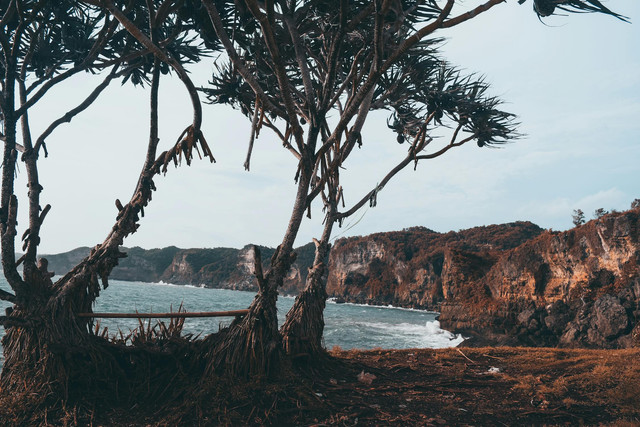 Ilustrasi mitos Pantai Wediombo. Foto: Pexels.com/Vicky Hermawan