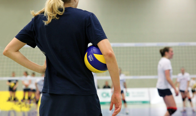 Ilustrasi cara nonton live streaming Red Sparks vs Pink Spiders leg 5. Sumber foto: Pixabay/ TaniaVdB