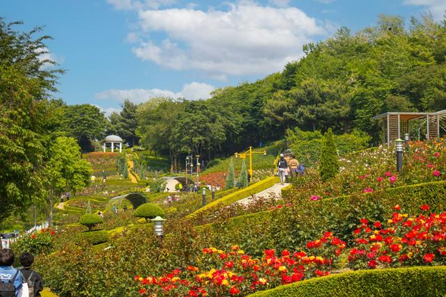 Kebun Raya Liwa. Foto hanya ilustrasi, bukan tempat sebenarnya. Sumber: unsplash.com/Yeojin Yun.