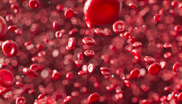 Ilustrasi hemogoblin (Hb). Foto: Unsplash