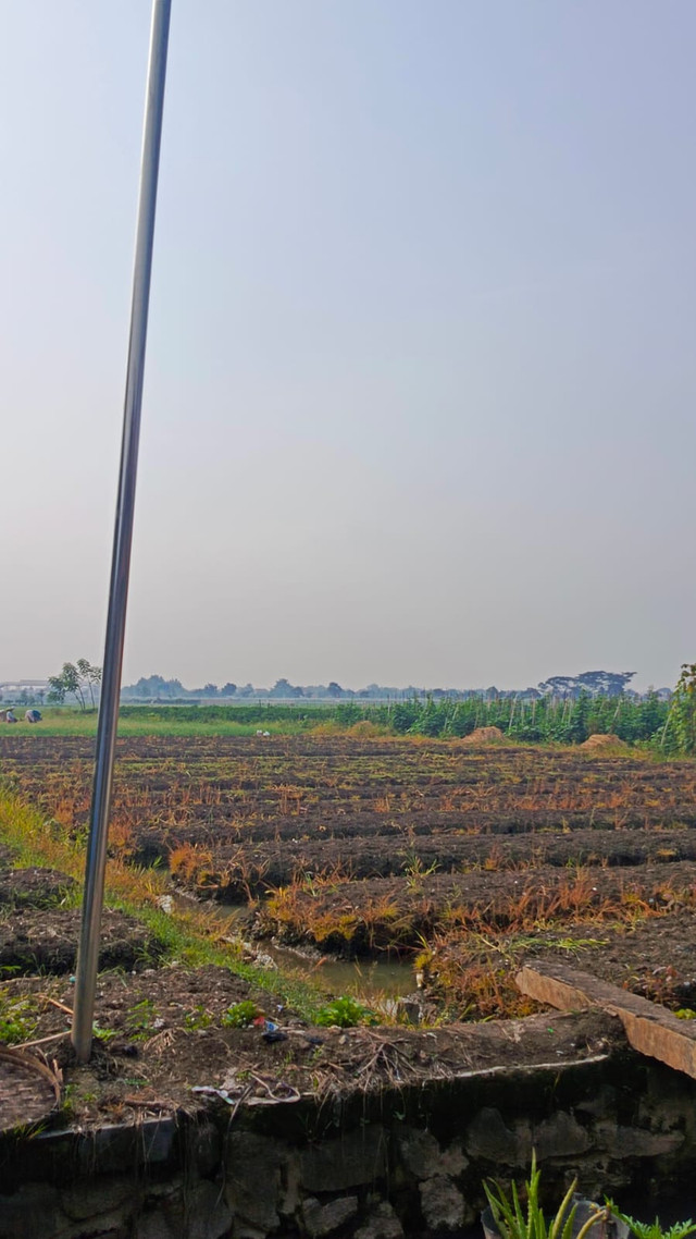 Sumber: Dokumen Pribadi Suasana Pagi yang tenang