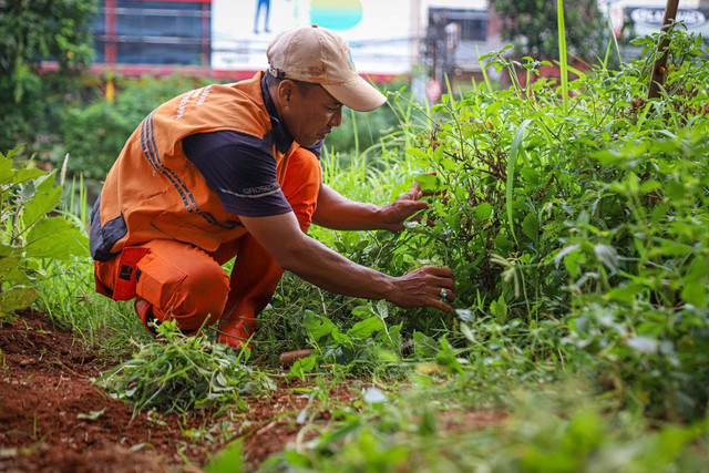 Petugas Penanganan Prasarana dan Sarana Umum (PPSU) atau Pasukan Oranye melakukan pembersihan wilayah kolong tol untuk urban farming di Duren Sawit, Jakarta, Kamis (10/4/2025). Foto: Iqbal Firdaus/kumparan