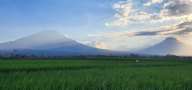 Tumpeng Menoreh Jogja. Foto hanyalah ilustrasi, bukan tempat yang sebenarnya. Sumber: Unsplash/Distributor Madu Sidr
