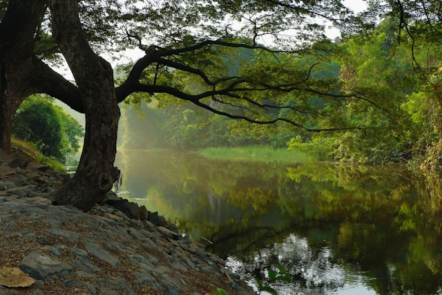 Sungai Mudal Kulon Progo. Foto hanyalah ilustrasi, bukan tempat yang sebenarnya. Sumber: Unsplash/Nitish Kadam