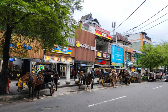 Kuda andong di kawasan Malioboro, Kota Yogyakarta, Kamis (10/4/2025). Foto: Arfiansyah Panji Purnandaru/kumparan