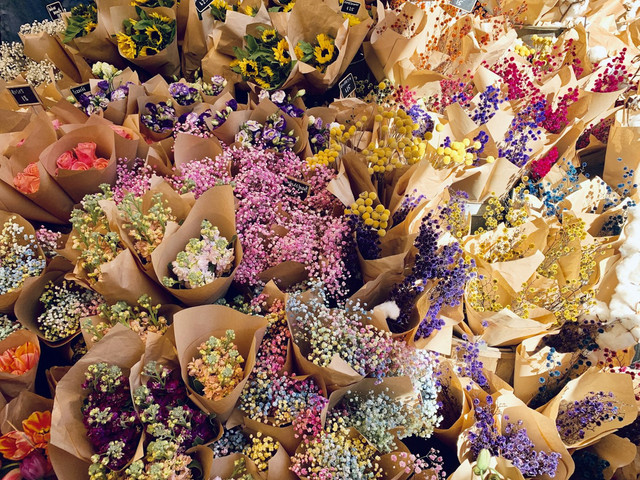 Ilustrasi cara merawat bungan baby breath. Foto: Unsplash/ Cindy Chan
