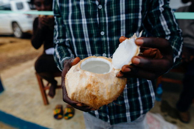 Ilustrasi manfaat air kelapa untuk burung pleci. Foto: Pexels.com/Kelly