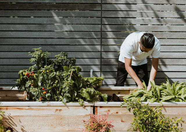 Ilustrasi Sinopsis The Gardener, Unsplash/Priscilla Du Preez 🇨🇦