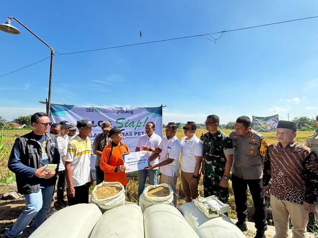 BULOG saat membeli gabah kering hasil panen petani dengan harga Rp 6.500/kg. Foto: Dok. Bulog
