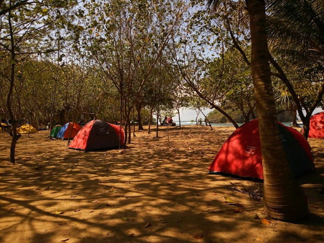 Tempat camping di Bogor murah. Foto hanya ilustrasi, bukan yang sebenarnya. Sumber: Unsplash/Agus Putanto
