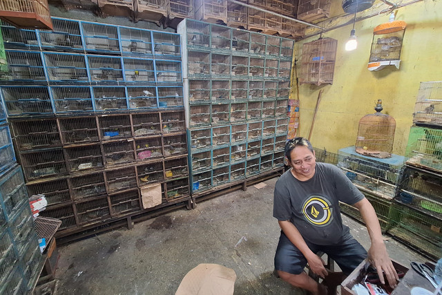 Suasana di Pasar Burung Pramuka, Jakarta, Rabu (16/4/2025). Foto: Argya Maheswara/kumparan